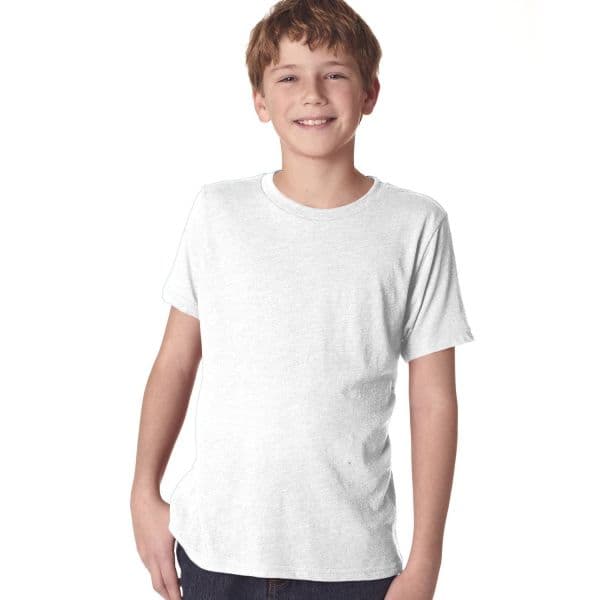 Next Level Youth Triblend Crew | N6310